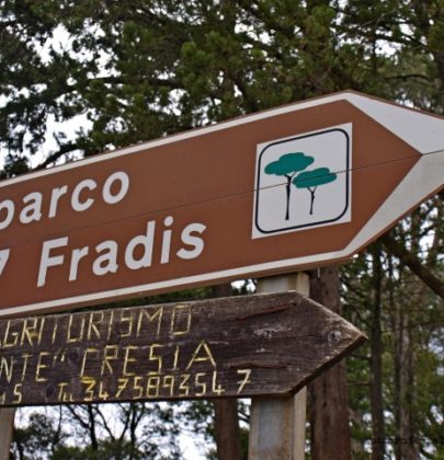 Siedmiu braci Sardynii