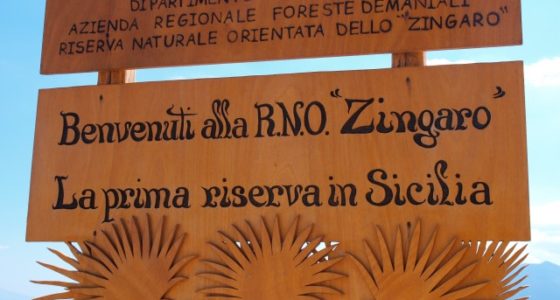 Rezerwat dello Zingaro i zapowiedź wydania książki :)