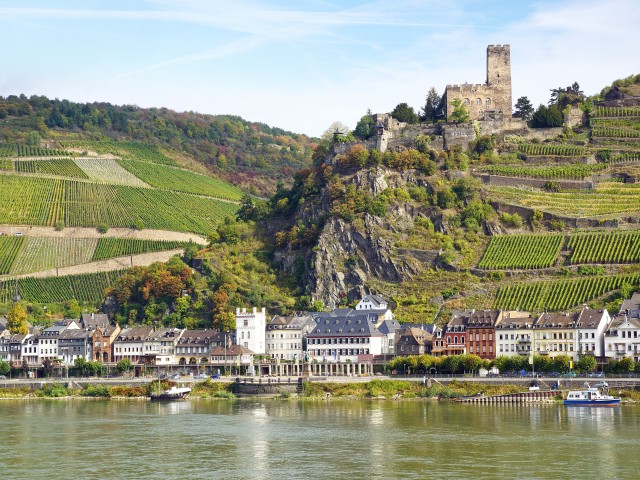 view_on_rhine_valley_germany