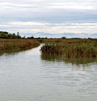 Bibione zaskakuje – 7 sposobów na pożegnanie nudy na wakacjach