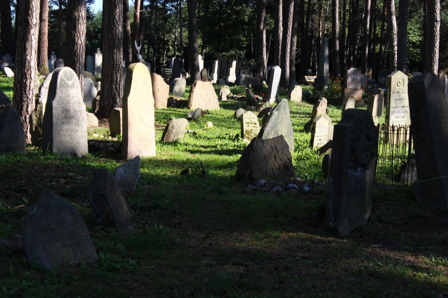 Cmentarz Tatarów w Kruszynianach (7)