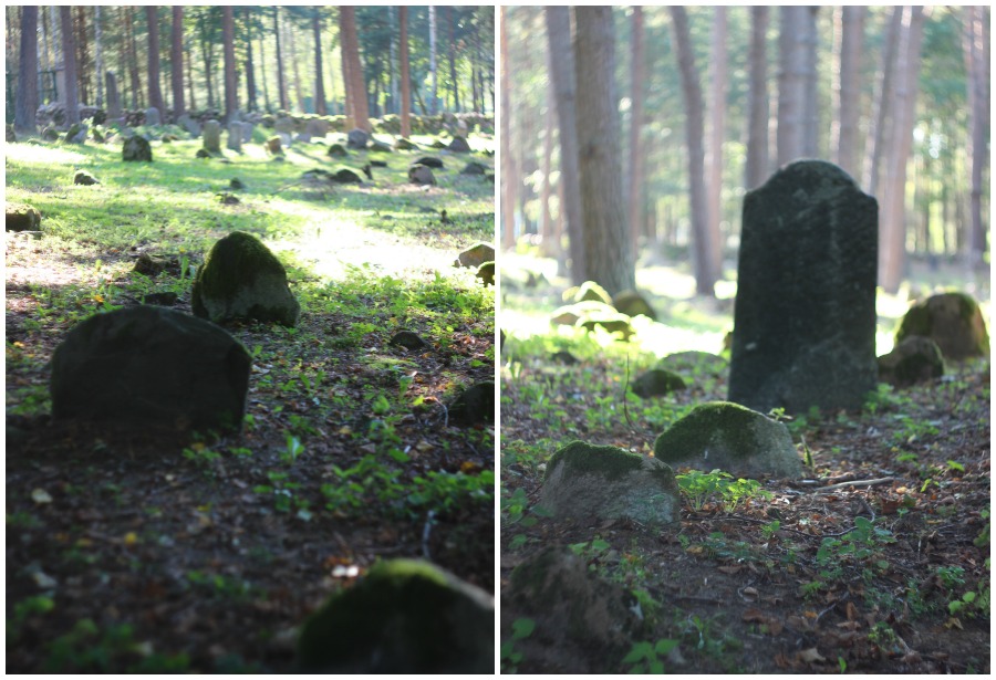 Cmentarz Tatarów w Kruszynianach (4)