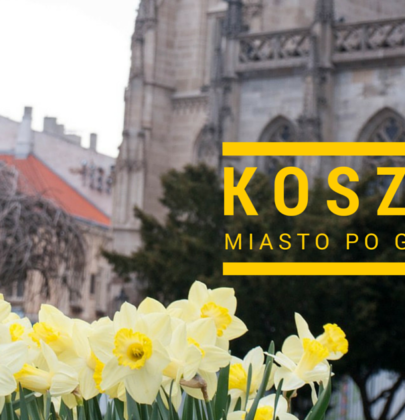 Koszyce po godzinach