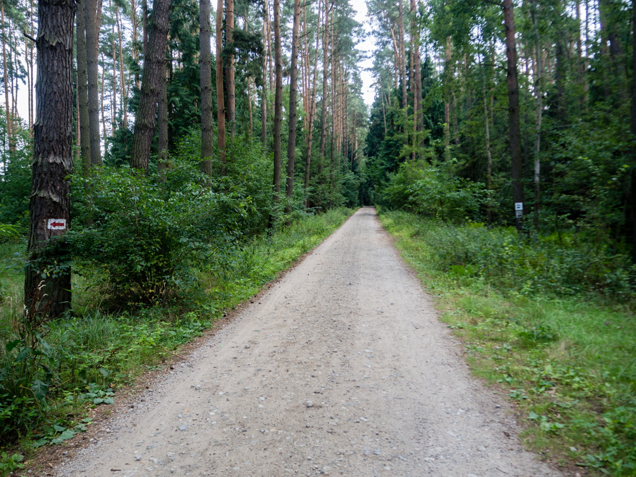 piesze szlaki w Przemęckim Parku Krajobrazowym