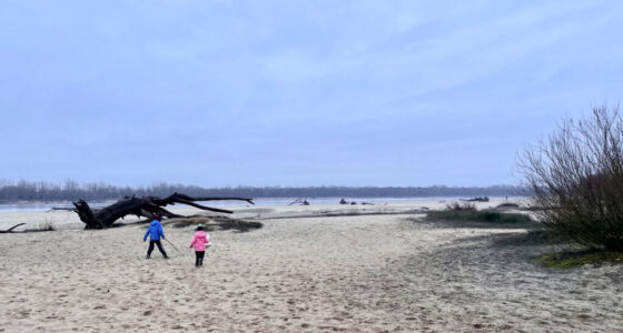 Plaża w Ciszycy – nietuzinkowy nadwiślański raj pod Warszawą