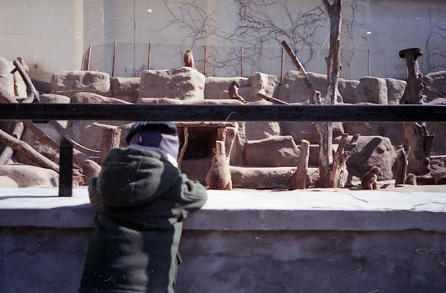 zoo w warszawie