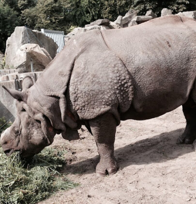 Zoo w Warszawie