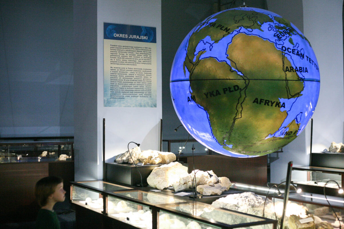 muzeum ewolucji w warszawie