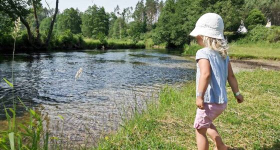 10 rzeczy, które musicie wiedzieć, zanim wybierzecie się na wakacje w Bory Tucholskie