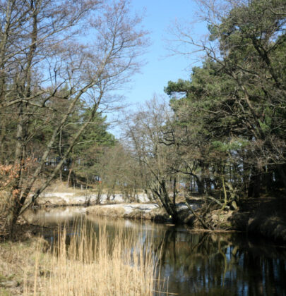 Dębki: plaża i domki nad morzem