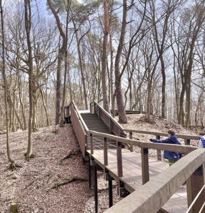 Kampinoski Park Narodowy – spacer do Zamczyska