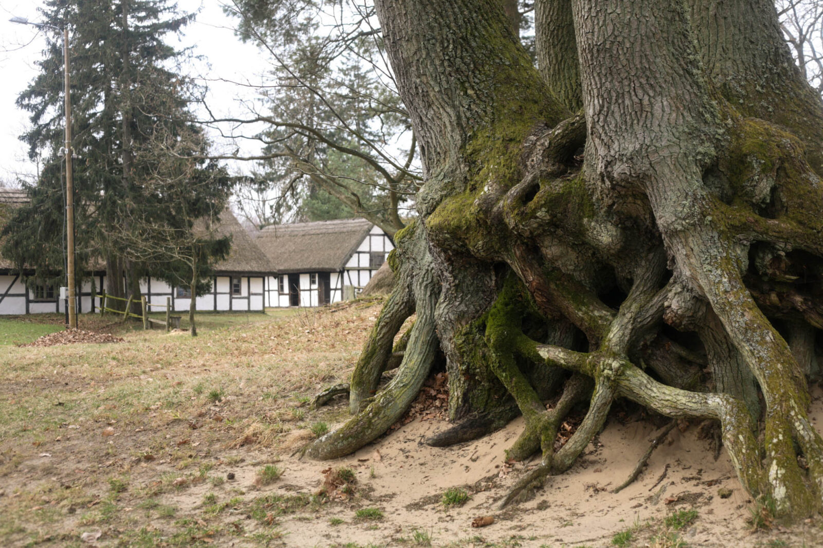 kluki skansen