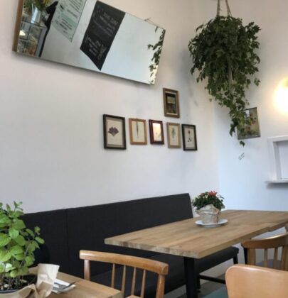Bistro Paprotka. Plac Europejski bez krawatu.